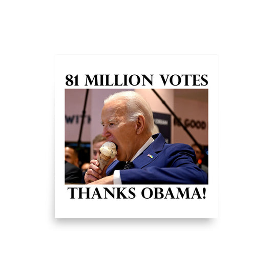 81 Million Votes Poster