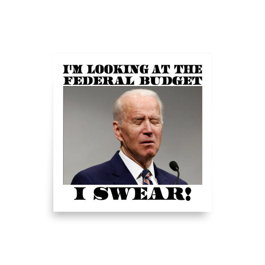 Federal Budget Poster